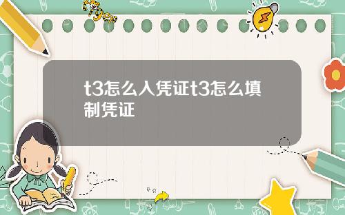 t3怎么入凭证t3怎么填制凭证
