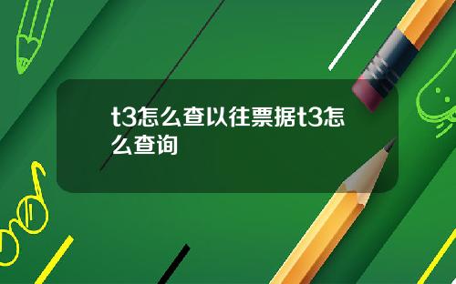 t3怎么查以往票据t3怎么查询
