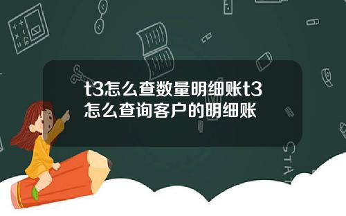 t3怎么查数量明细账t3怎么查询客户的明细账
