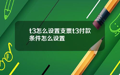 t3怎么设置支票t3付款条件怎么设置