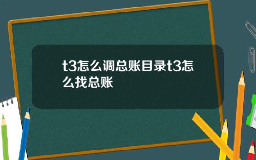 t3怎么调总账目录t3怎么找总账