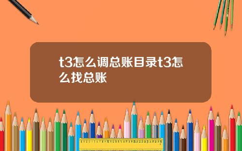 t3怎么调总账目录t3怎么找总账