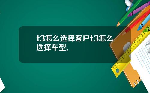 t3怎么选择客户t3怎么选择车型.