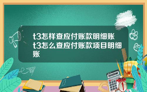 t3怎样查应付账款明细账t3怎么查应付账款项目明细账