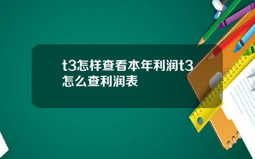 t3怎样查看本年利润t3怎么查利润表