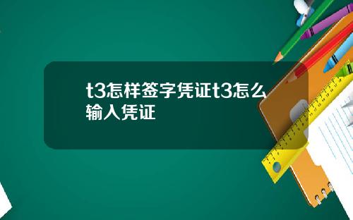 t3怎样签字凭证t3怎么输入凭证