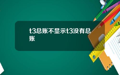 t3总账不显示t3没有总账