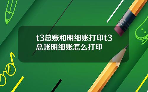t3总账和明细账打印t3总账明细账怎么打印