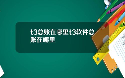 t3总账在哪里t3软件总账在哪里