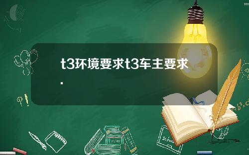 t3环境要求t3车主要求.