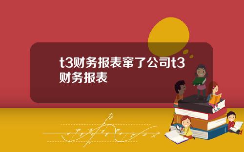 t3财务报表窜了公司t3财务报表