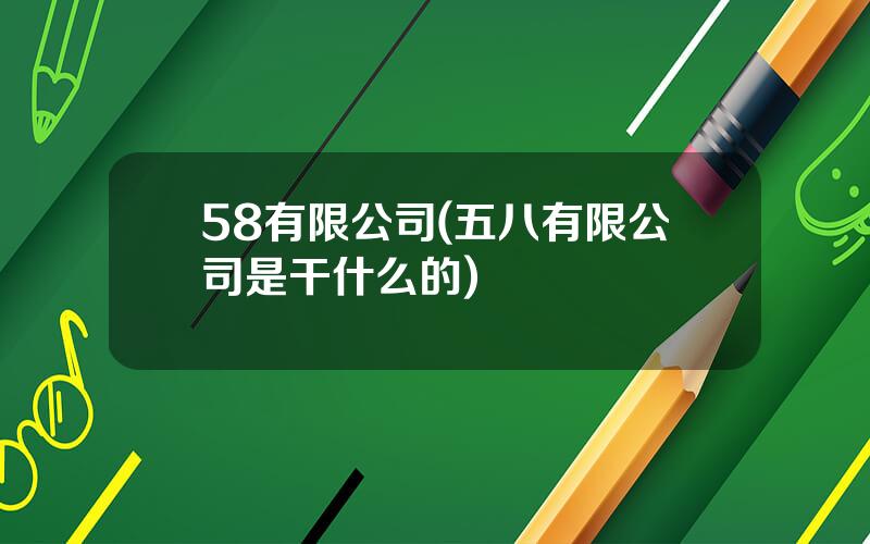 58有限公司(五八有限公司是干什么的)