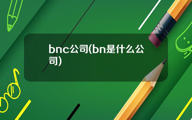 bnc公司(bn是什么公司)