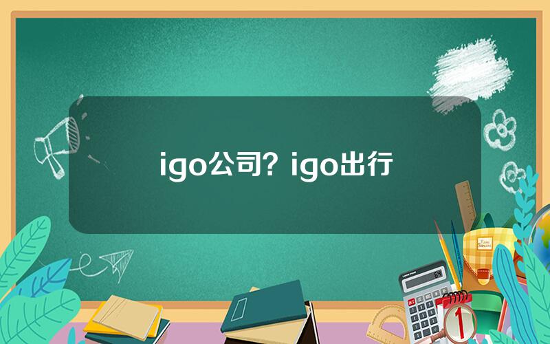 igo公司？igo出行