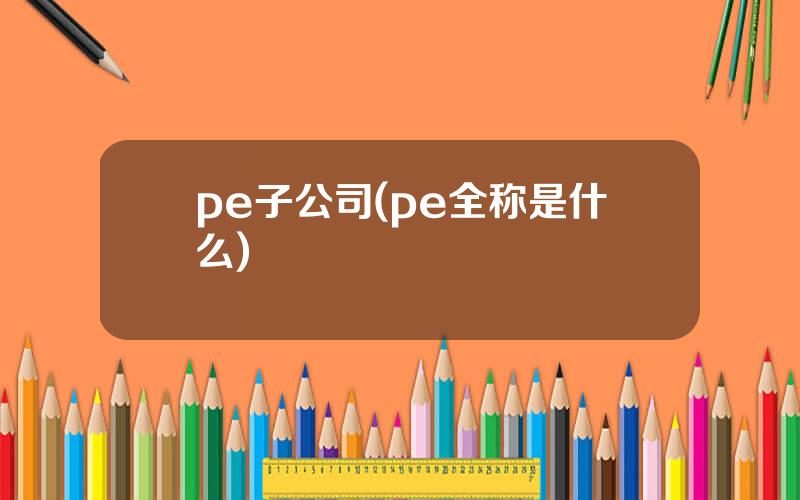 pe子公司(pe全称是什么)