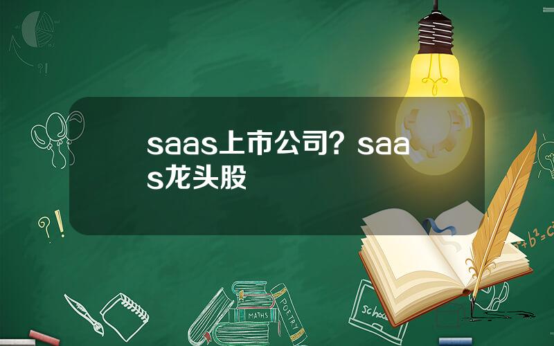 saas上市公司？saas龙头股