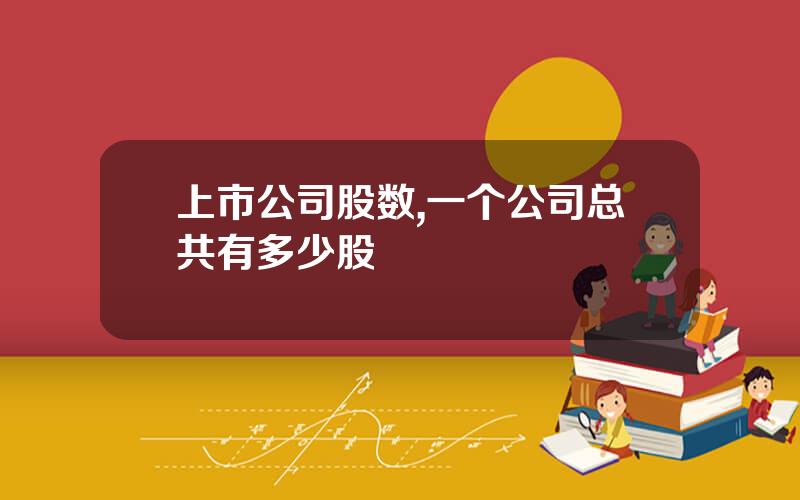 上市公司股数,一个公司总共有多少股