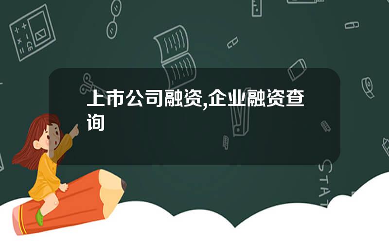 上市公司融资,企业融资查询
