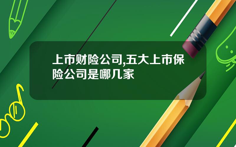 上市财险公司,五大上市保险公司是哪几家