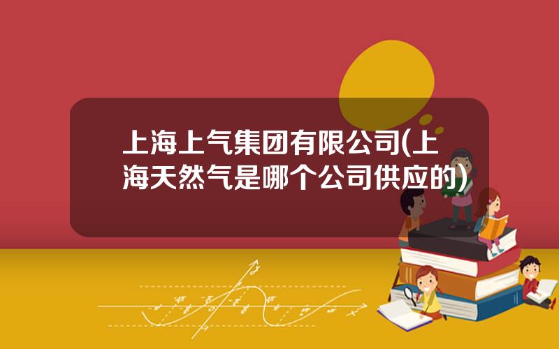 上海上气集团有限公司(上海天然气是哪个公司供应的)