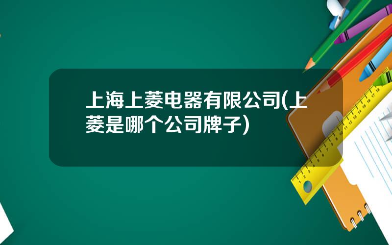 上海上菱电器有限公司(上菱是哪个公司牌子)