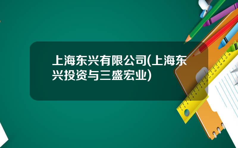 上海东兴有限公司(上海东兴投资与三盛宏业)