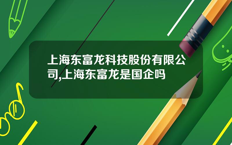 上海东富龙科技股份有限公司,上海东富龙是国企吗