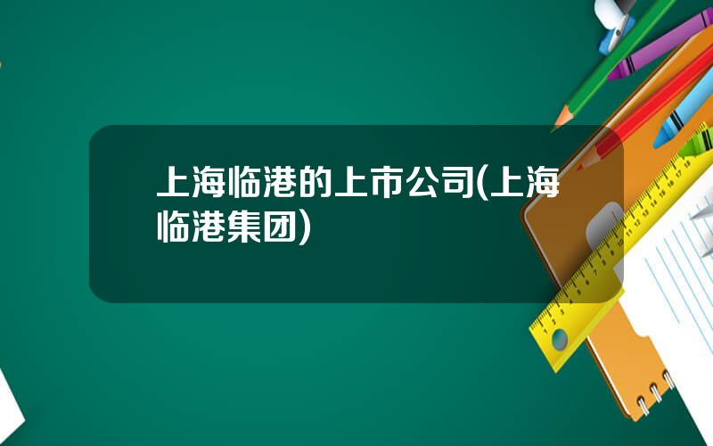 上海临港的上市公司(上海临港集团)