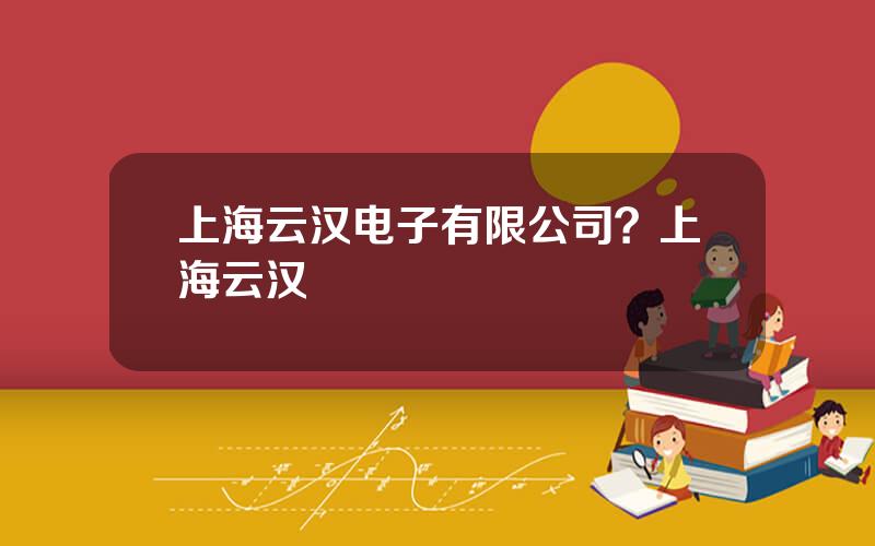 上海云汉电子有限公司？上海云汉