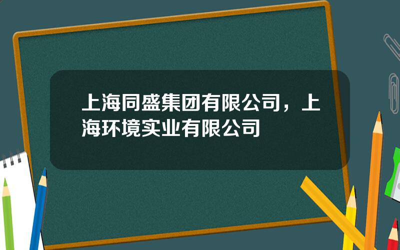 上海同盛集团有限公司，上海环境实业有限公司