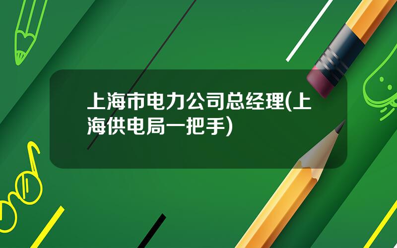 上海市电力公司总经理(上海供电局一把手)