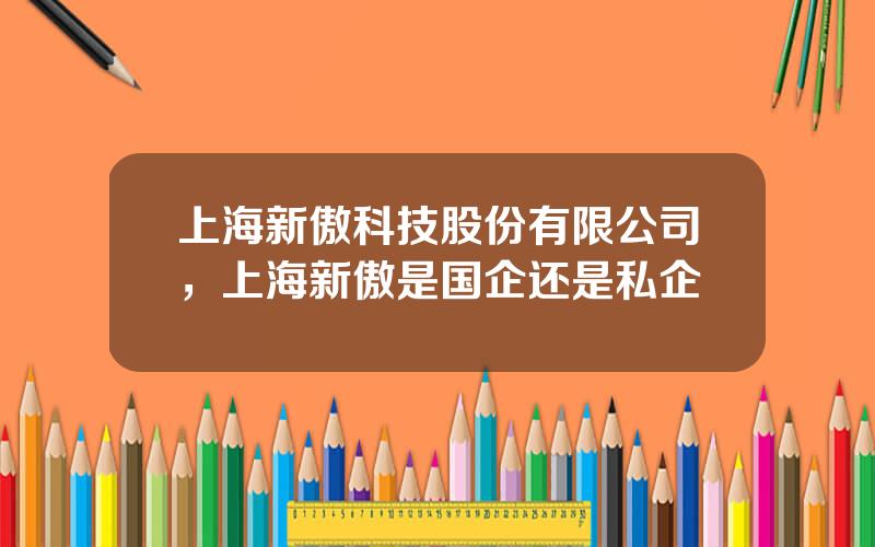 上海新傲科技股份有限公司，上海新傲是国企还是私企