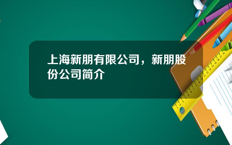 上海新朋有限公司，新朋股份公司简介