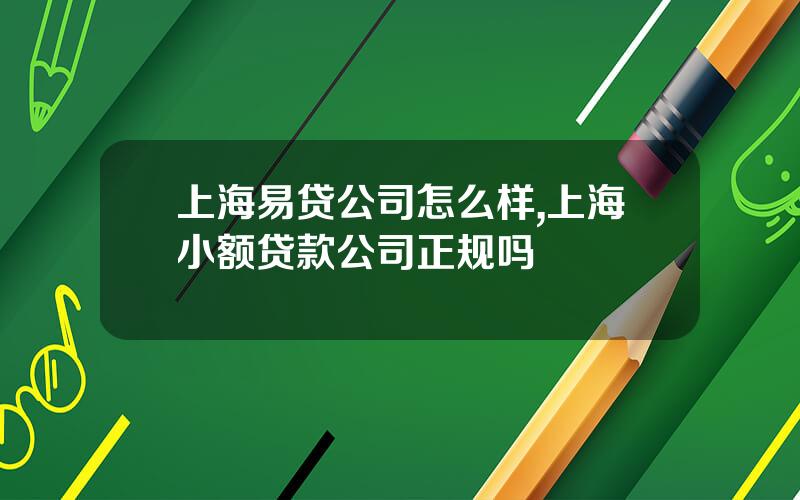 上海易贷公司怎么样,上海小额贷款公司正规吗