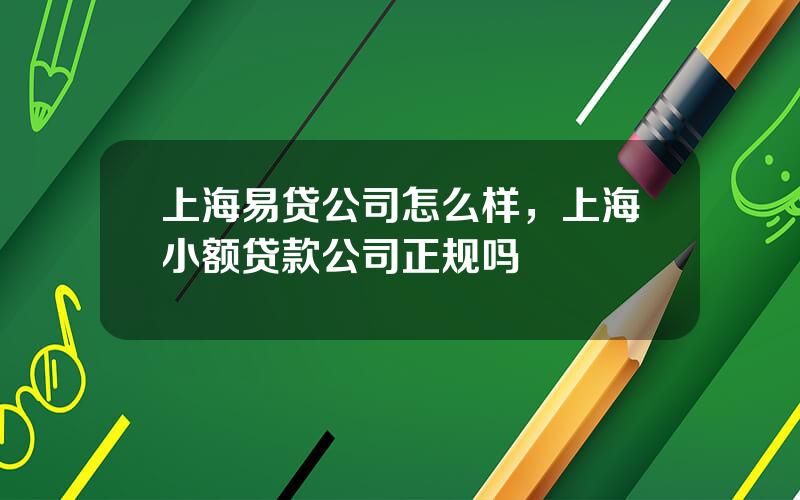 上海易贷公司怎么样，上海小额贷款公司正规吗