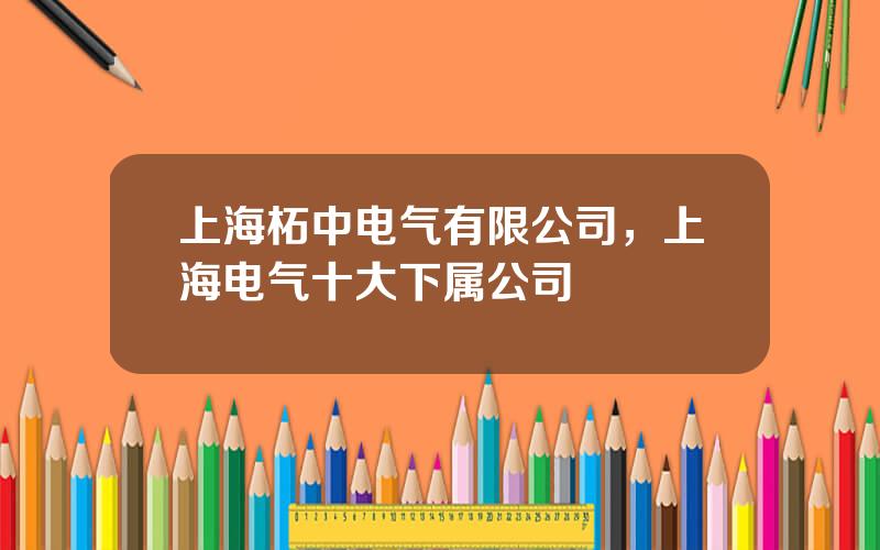 上海柘中电气有限公司，上海电气十大下属公司