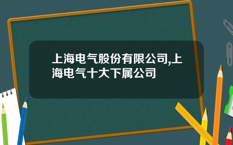 上海电气股份有限公司,上海电气十大下属公司