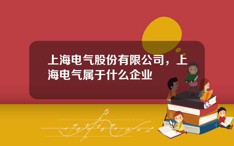上海电气股份有限公司，上海电气属于什么企业