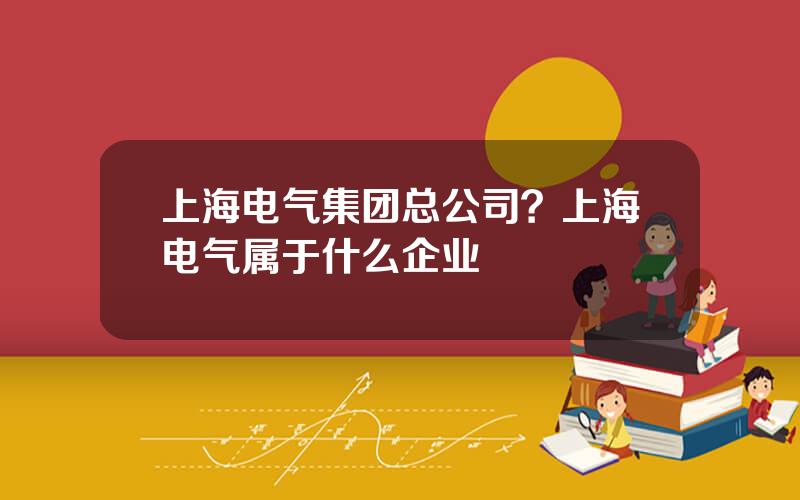 上海电气集团总公司？上海电气属于什么企业