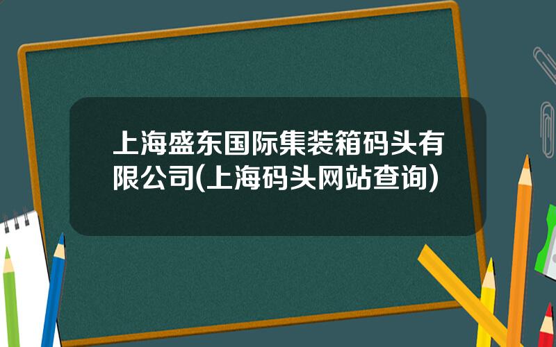 上海盛东国际集装箱码头有限公司(上海码头网站查询)