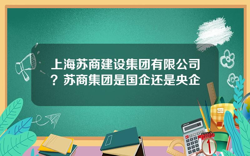上海苏商建设集团有限公司？苏商集团是国企还是央企