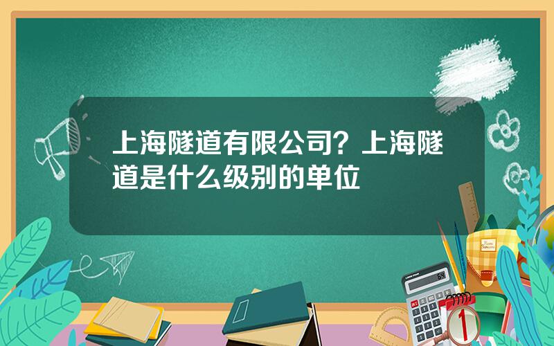 上海隧道有限公司？上海隧道是什么级别的单位