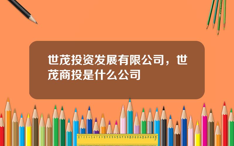 世茂投资发展有限公司，世茂商投是什么公司