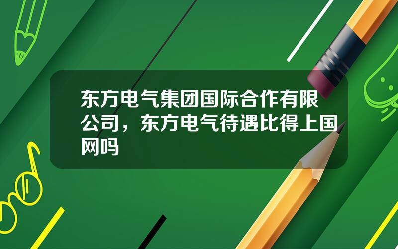 东方电气集团国际合作有限公司，东方电气待遇比得上国网吗