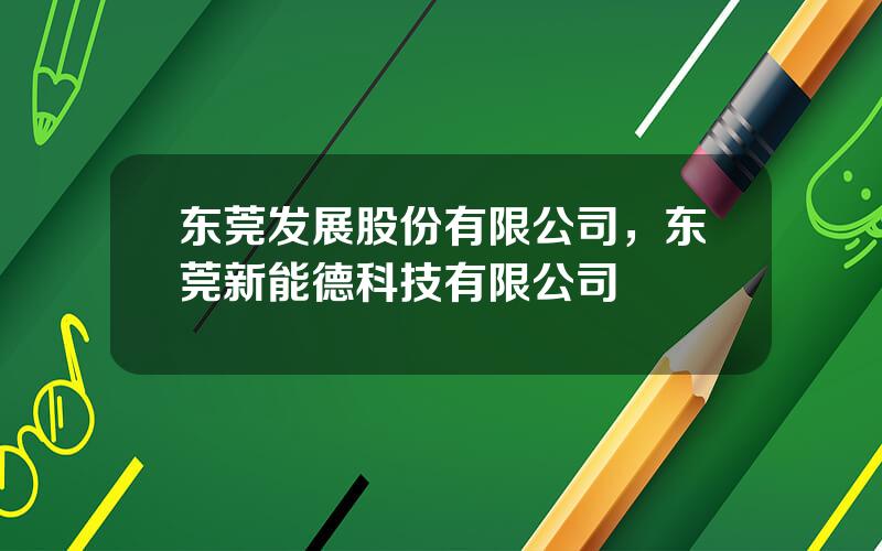 东莞发展股份有限公司，东莞新能德科技有限公司