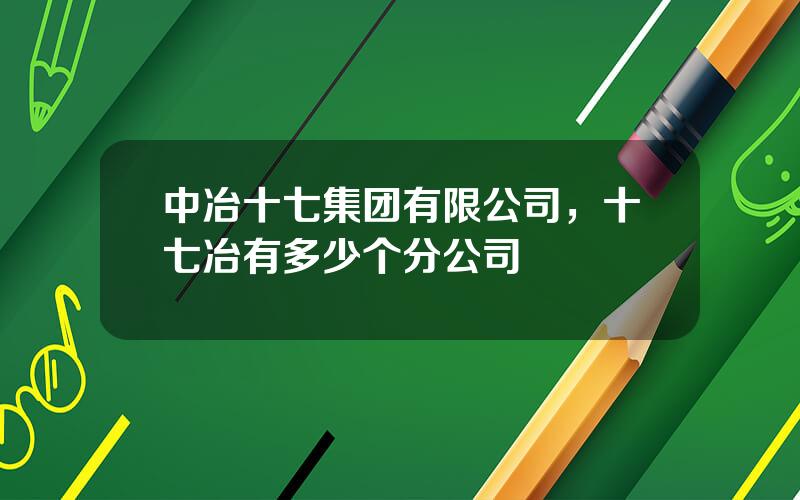 中冶十七集团有限公司，十七冶有多少个分公司