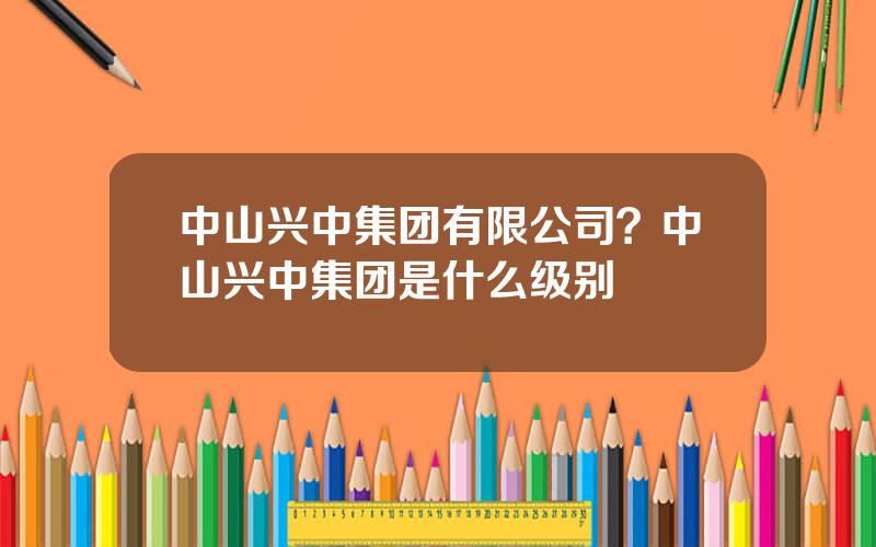 中山兴中集团有限公司？中山兴中集团是什么级别