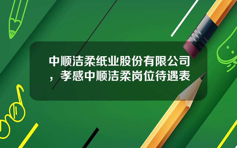 中顺洁柔纸业股份有限公司，孝感中顺洁柔岗位待遇表