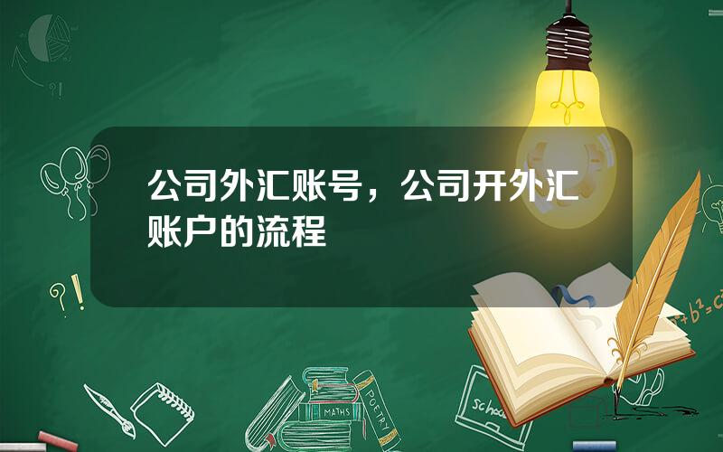 公司外汇账号，公司开外汇账户的流程