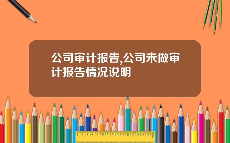 公司审计报告,公司未做审计报告情况说明